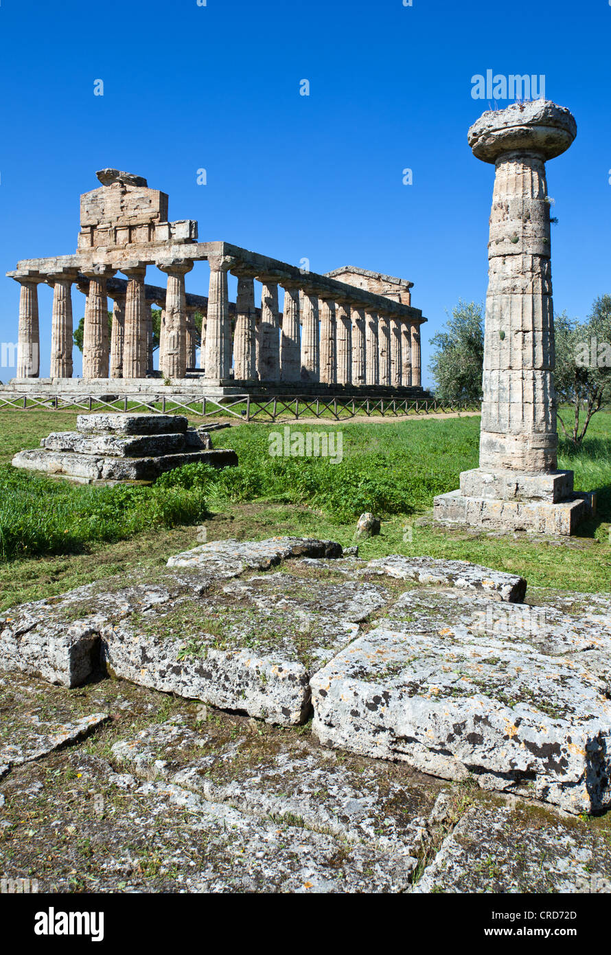Europe Italy,Campania Cilento, archaeological site of Paestum, the
