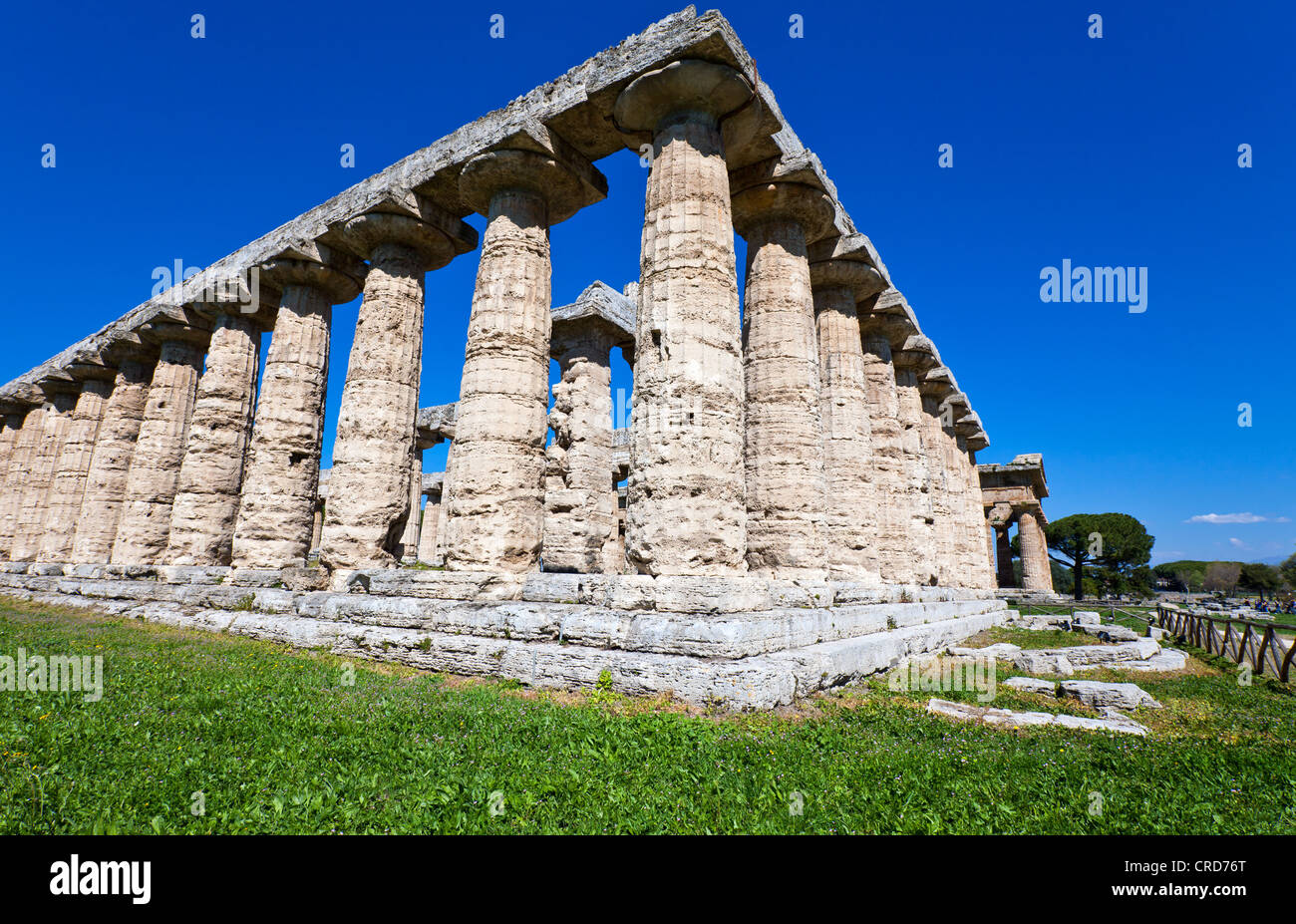 Europe Italy,Campania Cilento, archaeological site of Paestum, the