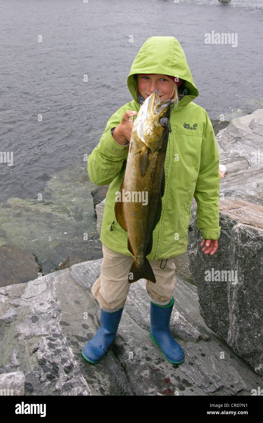 cod, Atlantic cod, codling (Gadus morhua), boy proudly presenting his catch Stock Photo