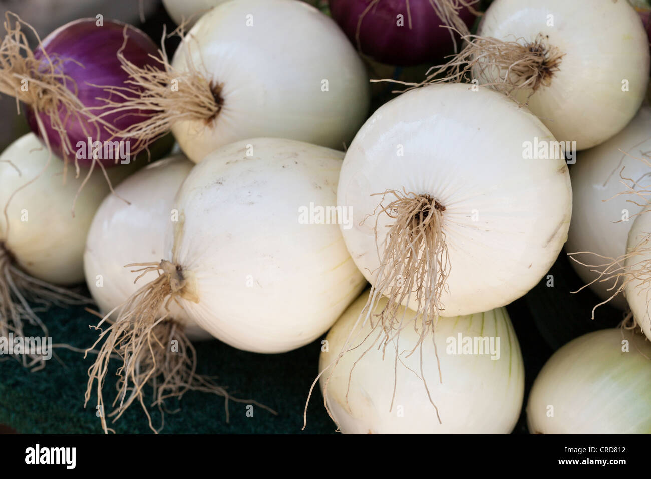 White and Red Onions. On sale at a farmer's market. Stock Photo