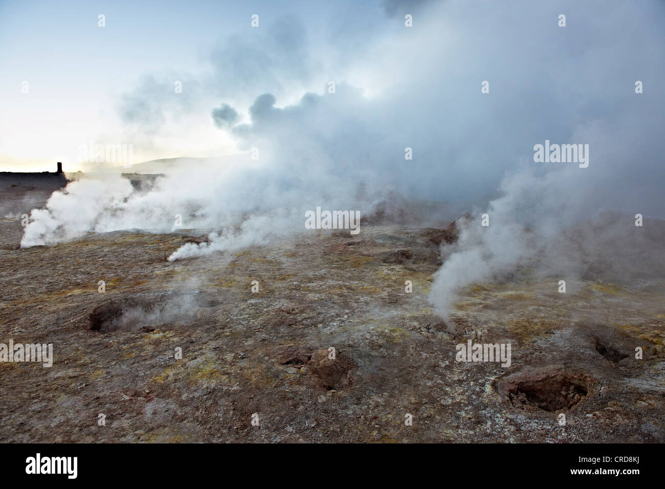 Fumaroles in the Eduardo Avaroa Andean Fauna National Reserve, Potosi, Bolivia Stock Photo
