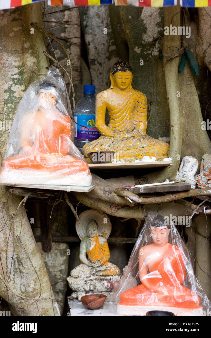 Buddha shop hires stock photography and images Alamy