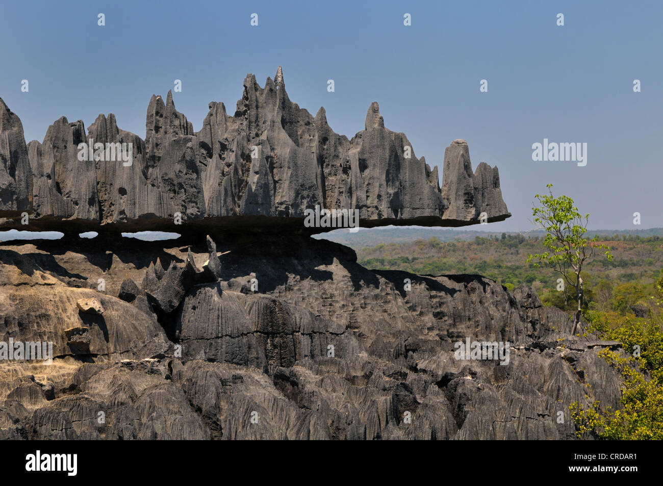 Tsingy, limestone formations, Tsingy de Bemaraha National Park, UNESCO World Heritage Site, Western Madagascar, Africa Stock Photo
