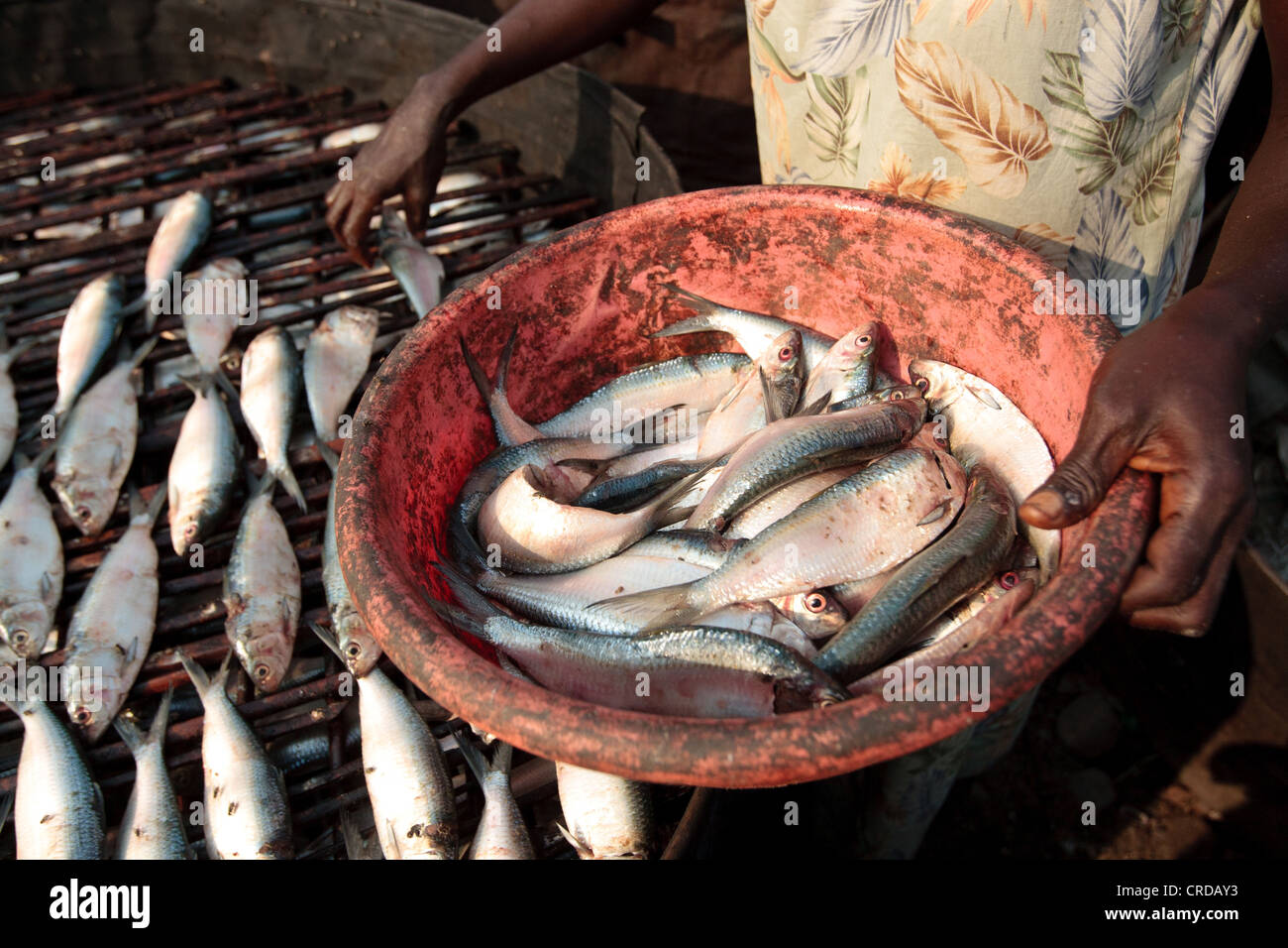 A woman lays out fish to somke in the West Point slum of Monrovia, Montserrado county, Liberia on Monday April 2, 2012. Stock Photo