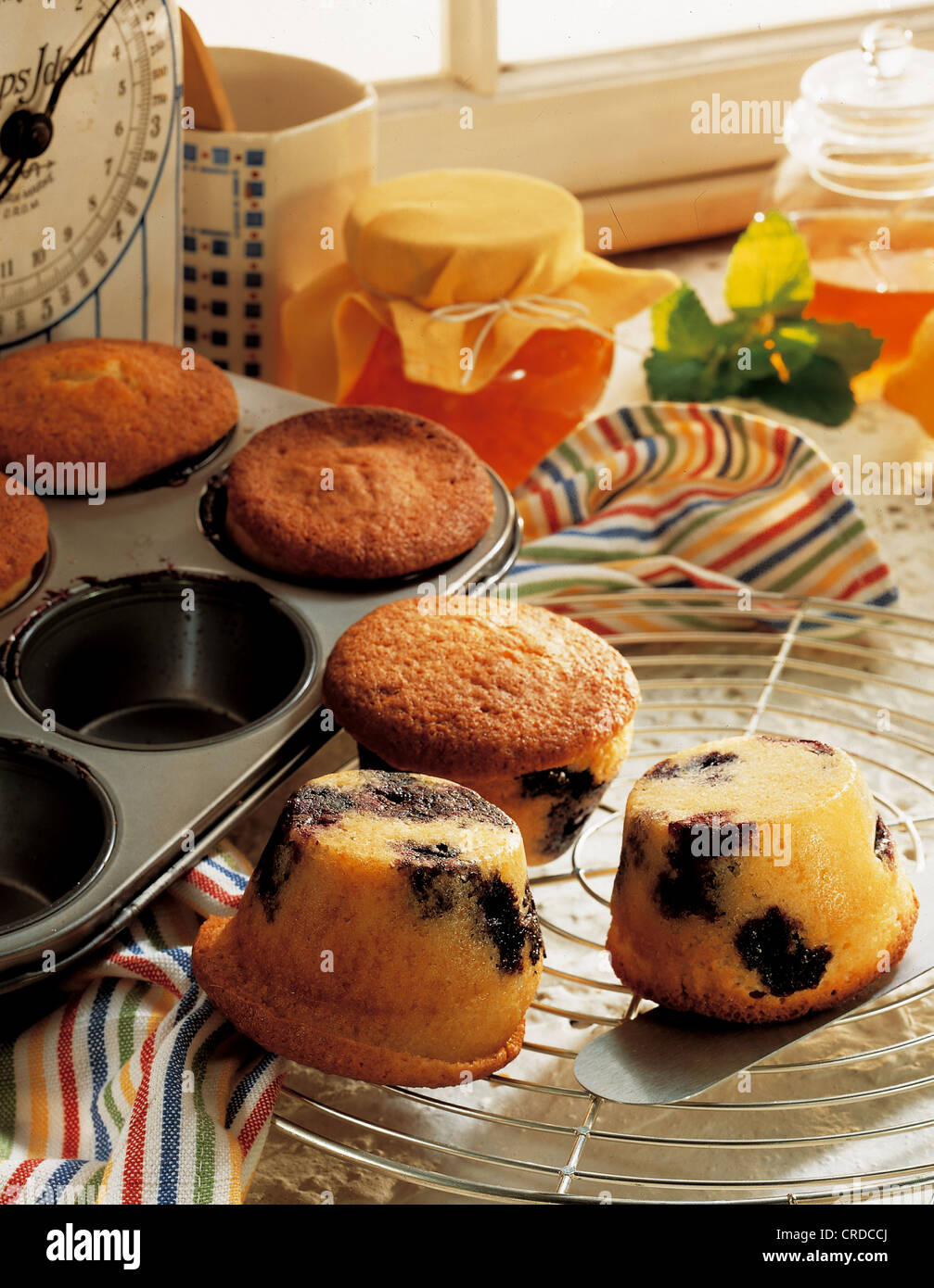 Blueberry Hill Muffins USA Stock Photo Alamy   Blueberry Hill Muffins Usa CRDCCJ 