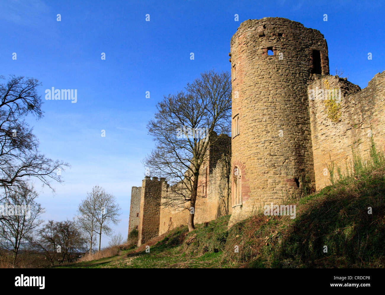 Ludlow Castle, Ludlow, Shropshire, England, Europe Stock Photo