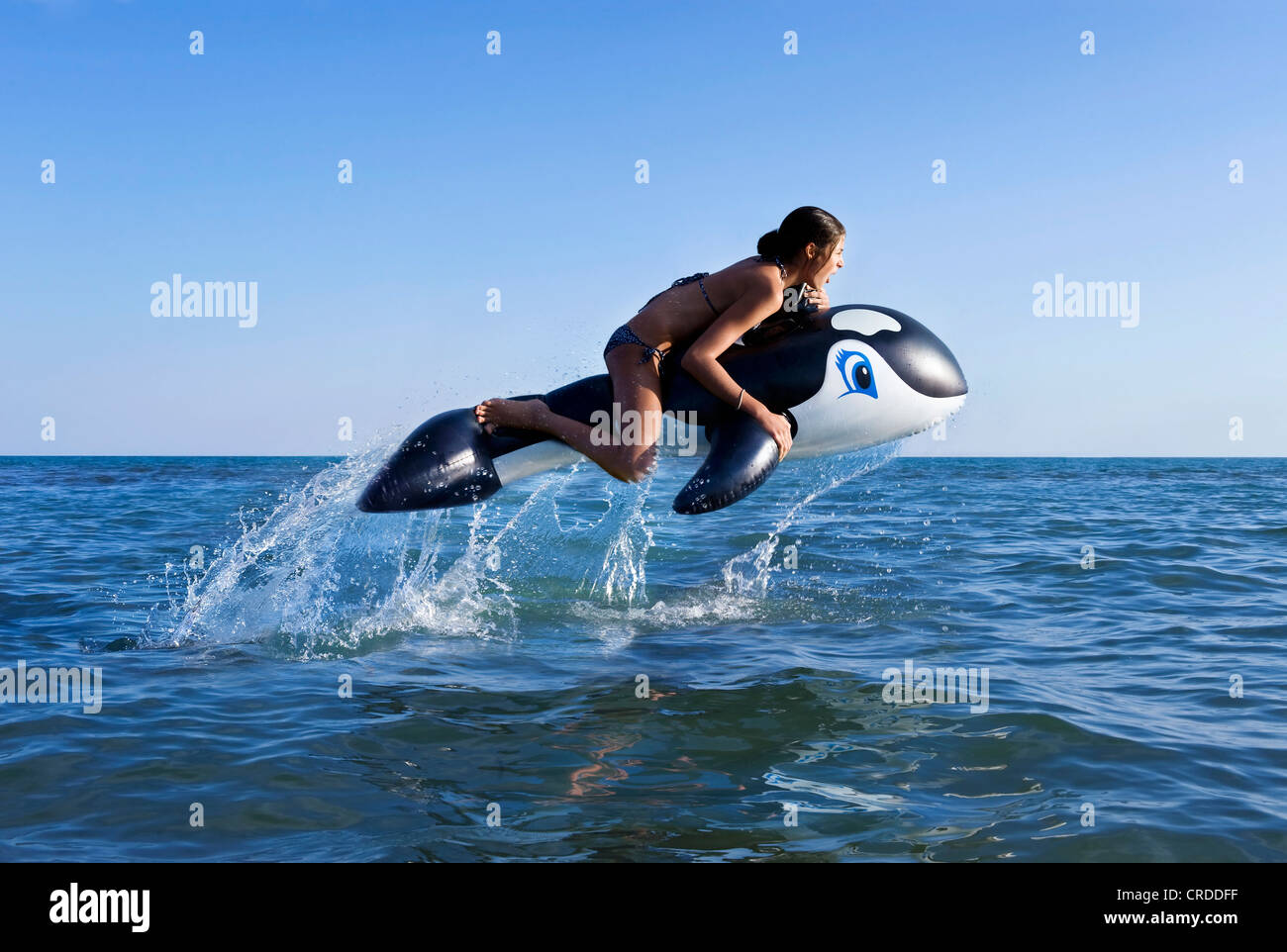 Inflatable Orca Riding Girl sitting on inflatable orca jumping in the sea Stock Photo - Alamy