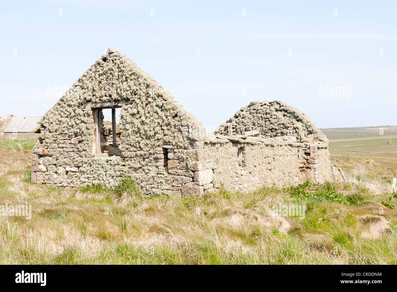 Near Harrabrough, South Ronaldsay, Orkney Isles  Scotland a ruined cottage Stock Photo