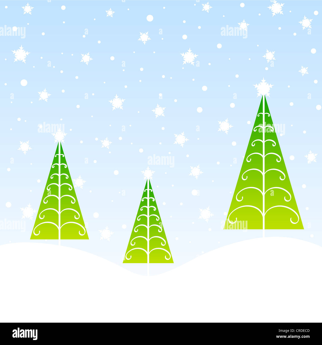 Christmas trees and stars in winter Stock Photo