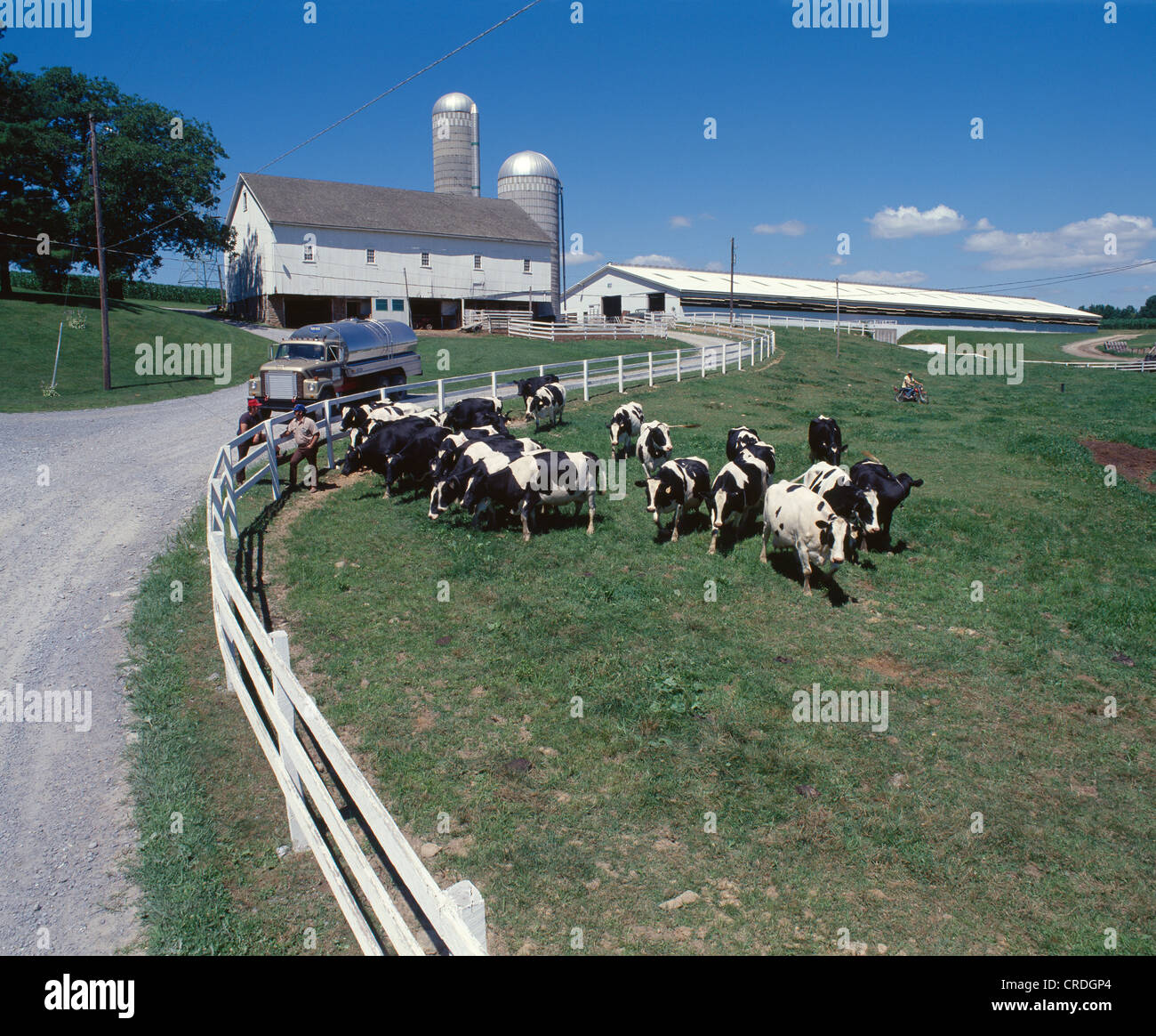 DAIRY FARM / PENNSYLVANIA Stock Photo Alamy