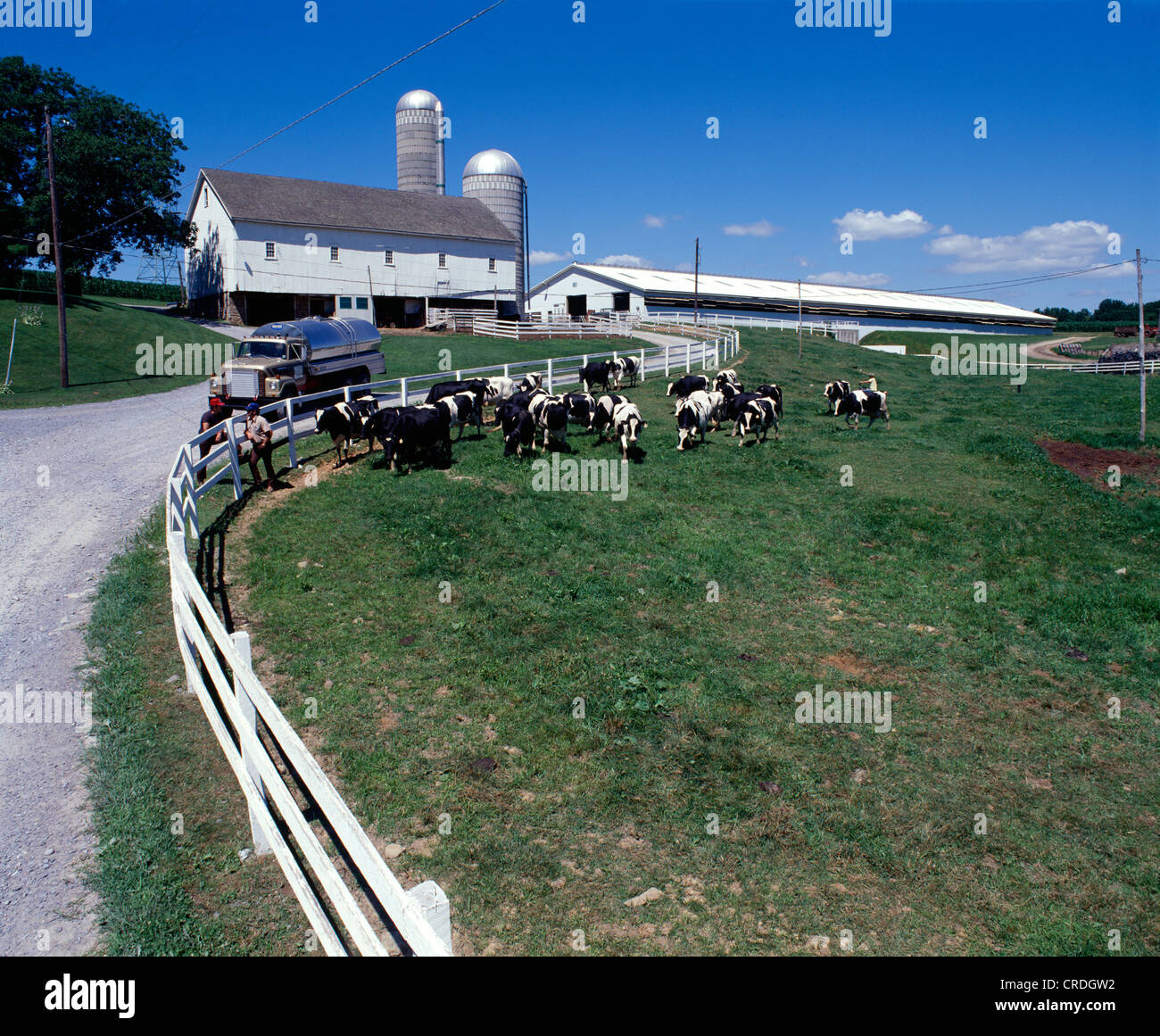 DAIRY FARM / PENNSYLVANIA Stock Photo Alamy