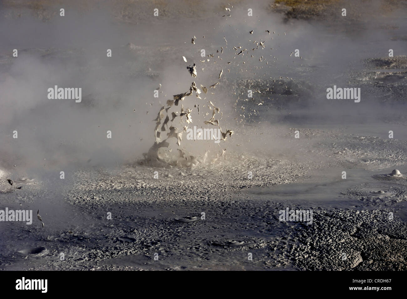 Geysers with water vapour, Uyuni, Bolivia, South America Stock Photo