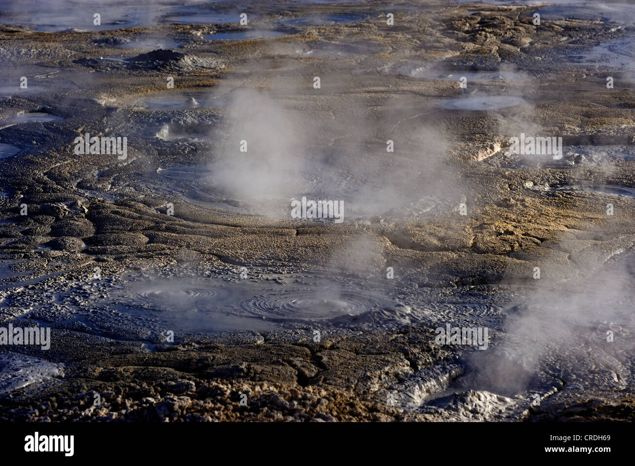 Geysers with water vapour, Uyuni, Bolivia, South America Stock Photo