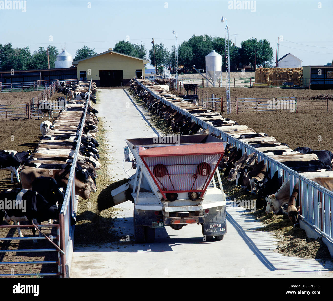 Feedlot colorado hires stock photography and images Alamy