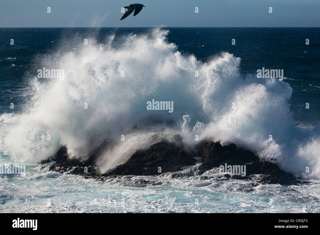Big sur coasts hires stock photography and images Alamy