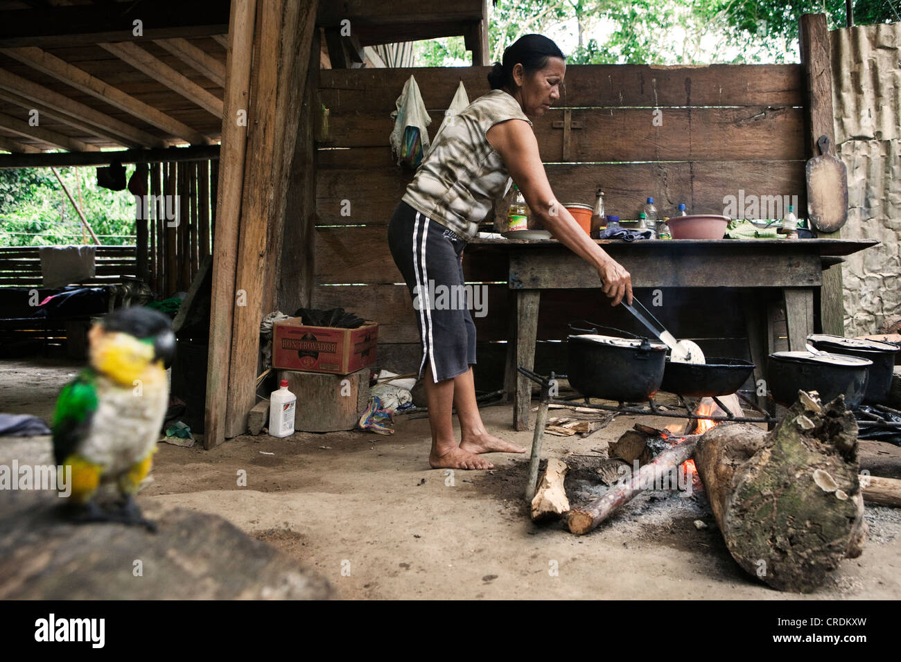 Carlota, from the Quechua people, preparing breakfast in her kitchen, in a village with no road access in the rainforest of the Stock Photo
