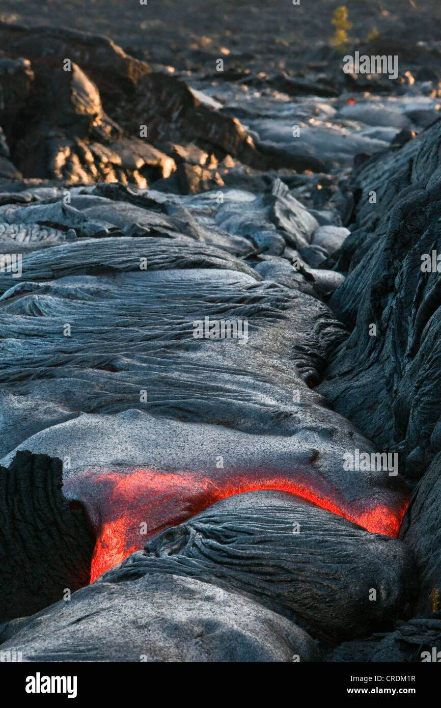 Molten pahoehoe type lava flowing from a crack in the East Rift Zone towards the sea, lava field of the Kilauea shield volcano Stock Photo