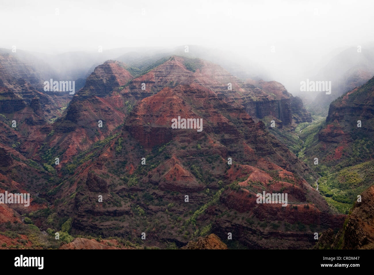 Waimea Canyon under low-hanging clouds on the island of Kaua'i, Waimea, Hawai'i, USA Stock Photo