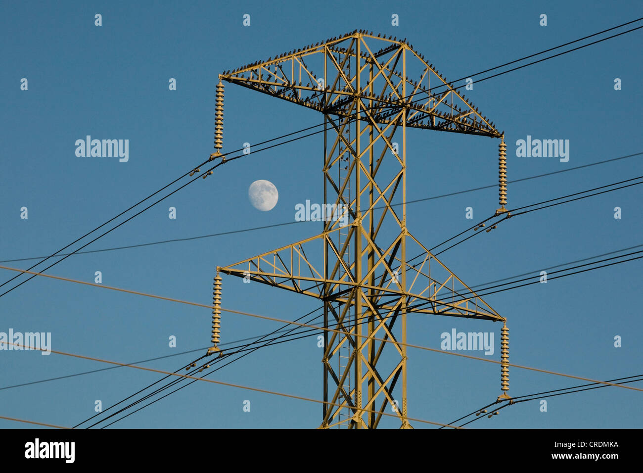 High Voltage Power Lines Diagram