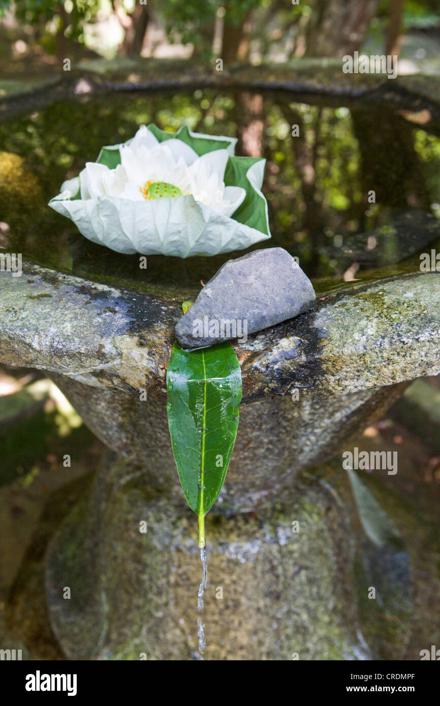 Fountain with lotus flower and leaf in a monastery garden, Kyoto, Japan