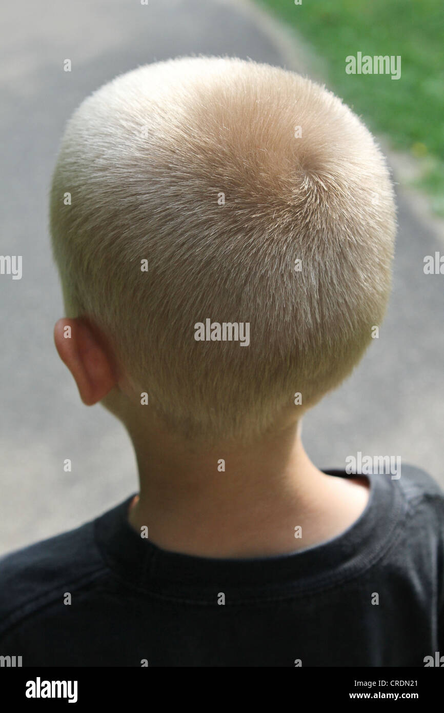 Buzz cut head hi-res stock photography and images - Alamy