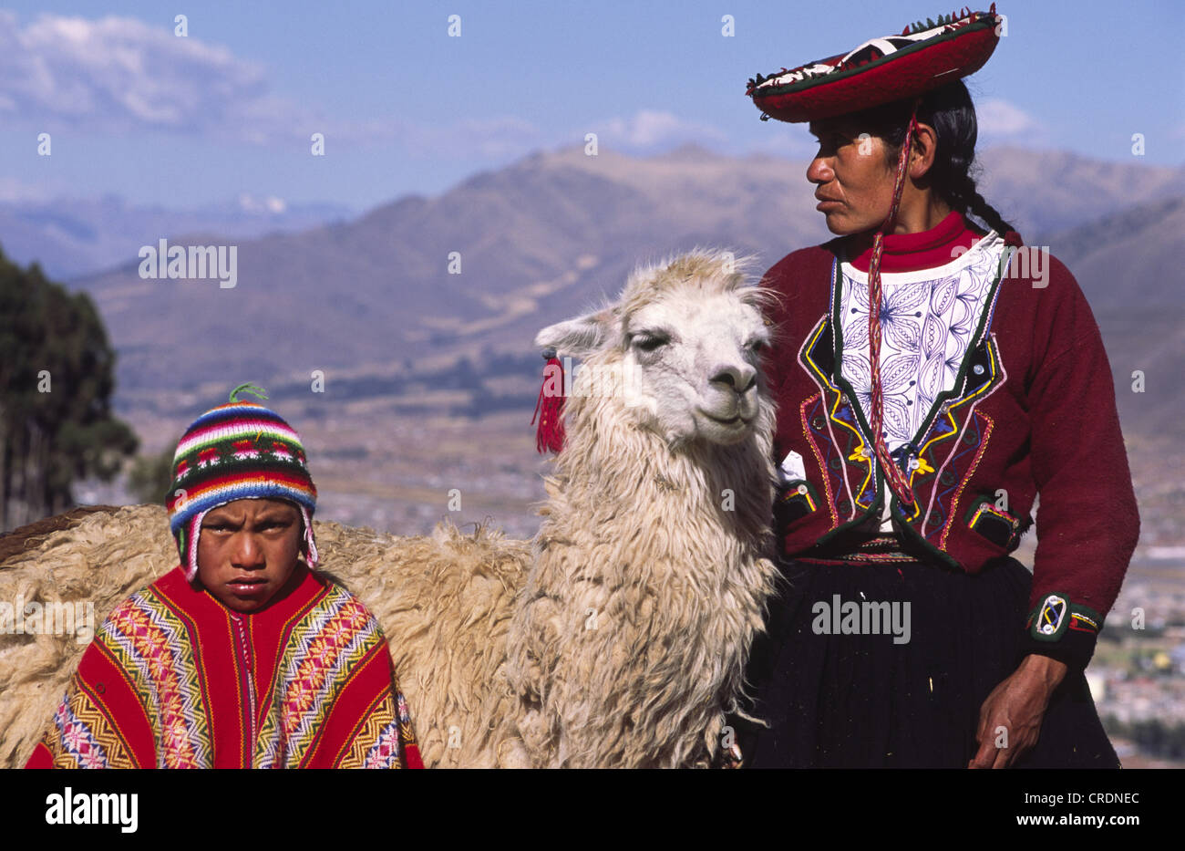 Indian woman llama cuzco peru hi-res stock photography and images - Alamy