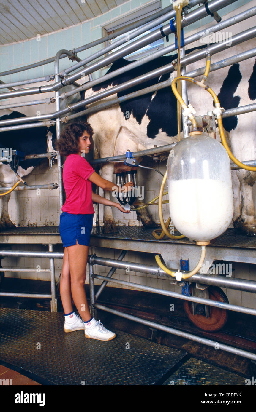 CAROUSEL MILKING PARLOR / QUARRYVILLE, PA Stock Photo - Alamy