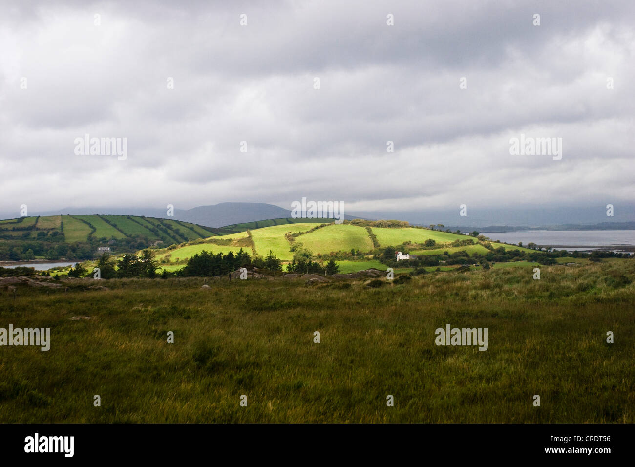 sunny hill at foggy weather, Ireland, Cork, BearaHalbinsel Stock Photo Alamy