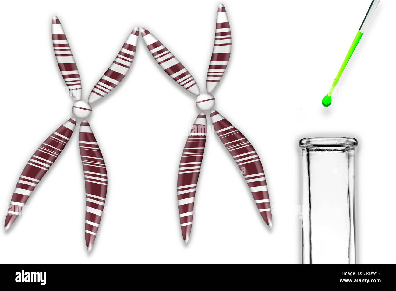 Chromosomes during research, testing, illustration Stock Photo