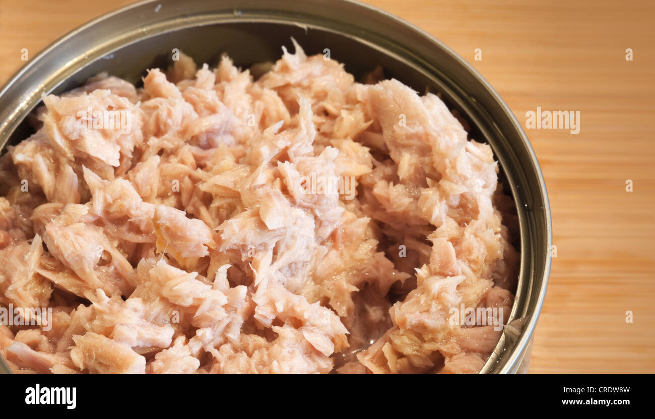 Minced tuna in the can closeup photo Stock Photo