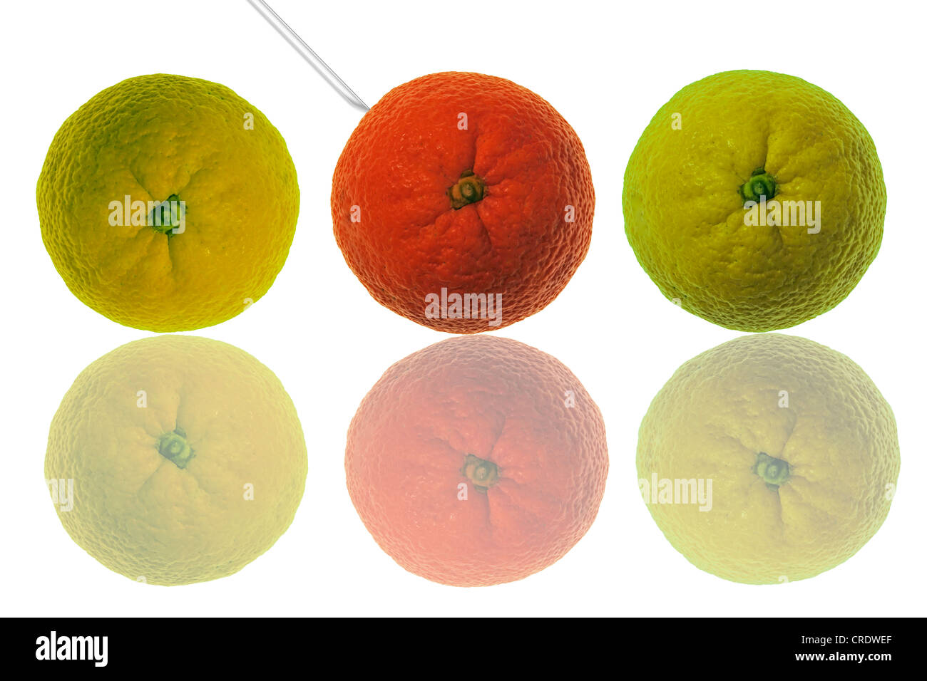 A syringe injecting an orangecoloured orange, yellowgreen oranges on either side Stock Photo