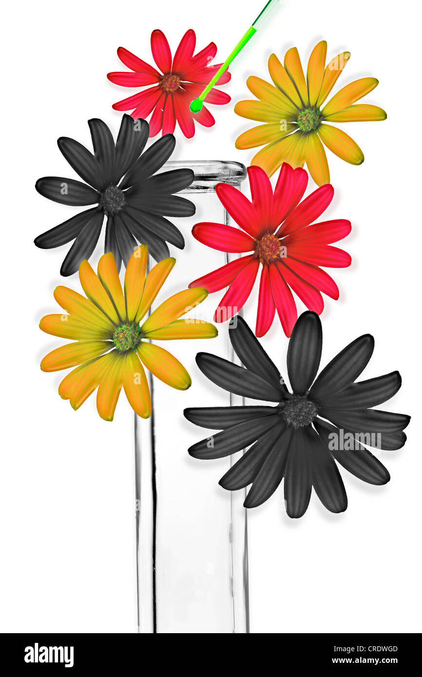 Droplets from a green pipette falling into a test tube, flowers in the national colours of Germany are formed Stock Photo