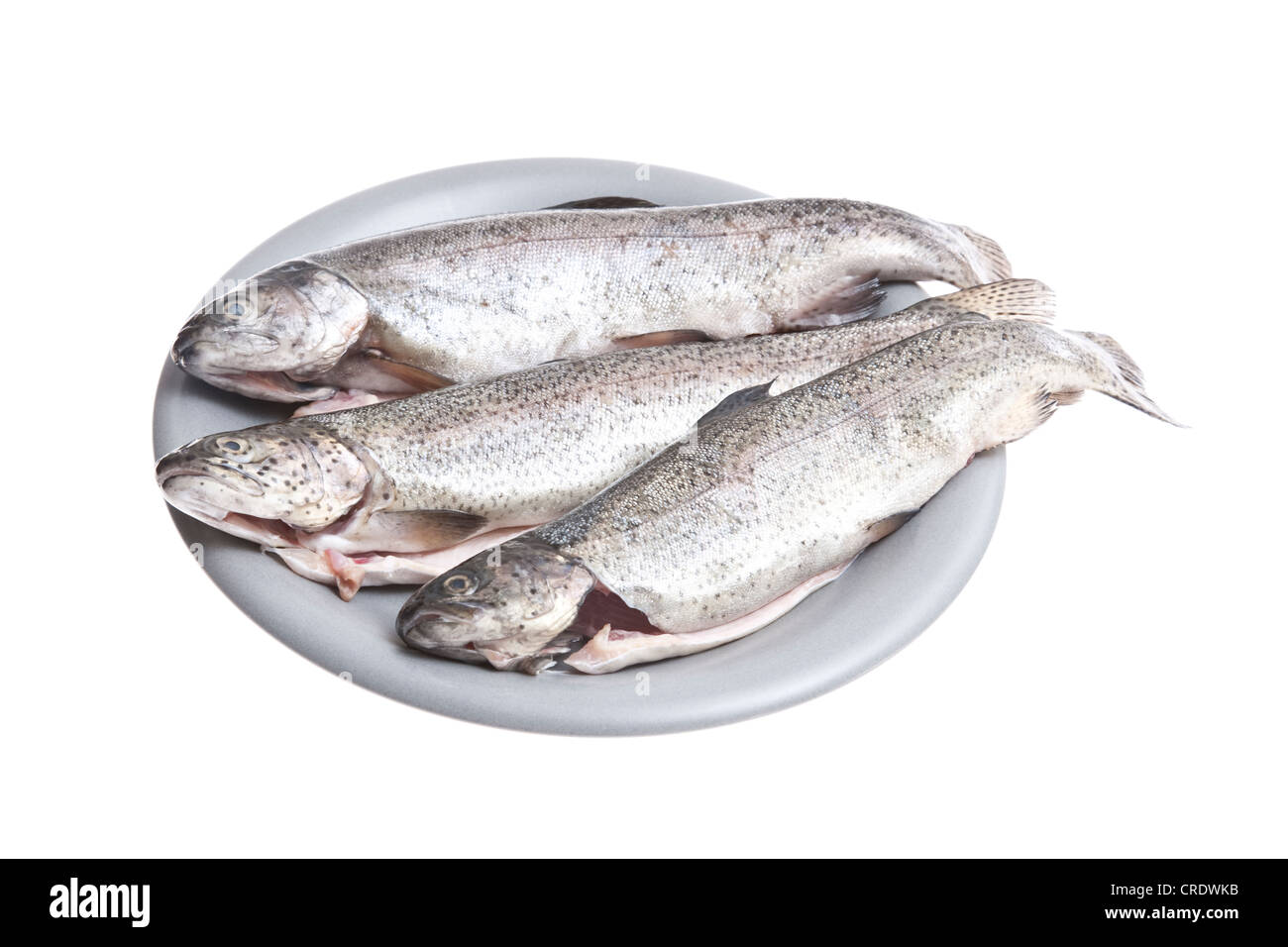 Three char fish (Salvelinus) on a grey plate Stock Photo