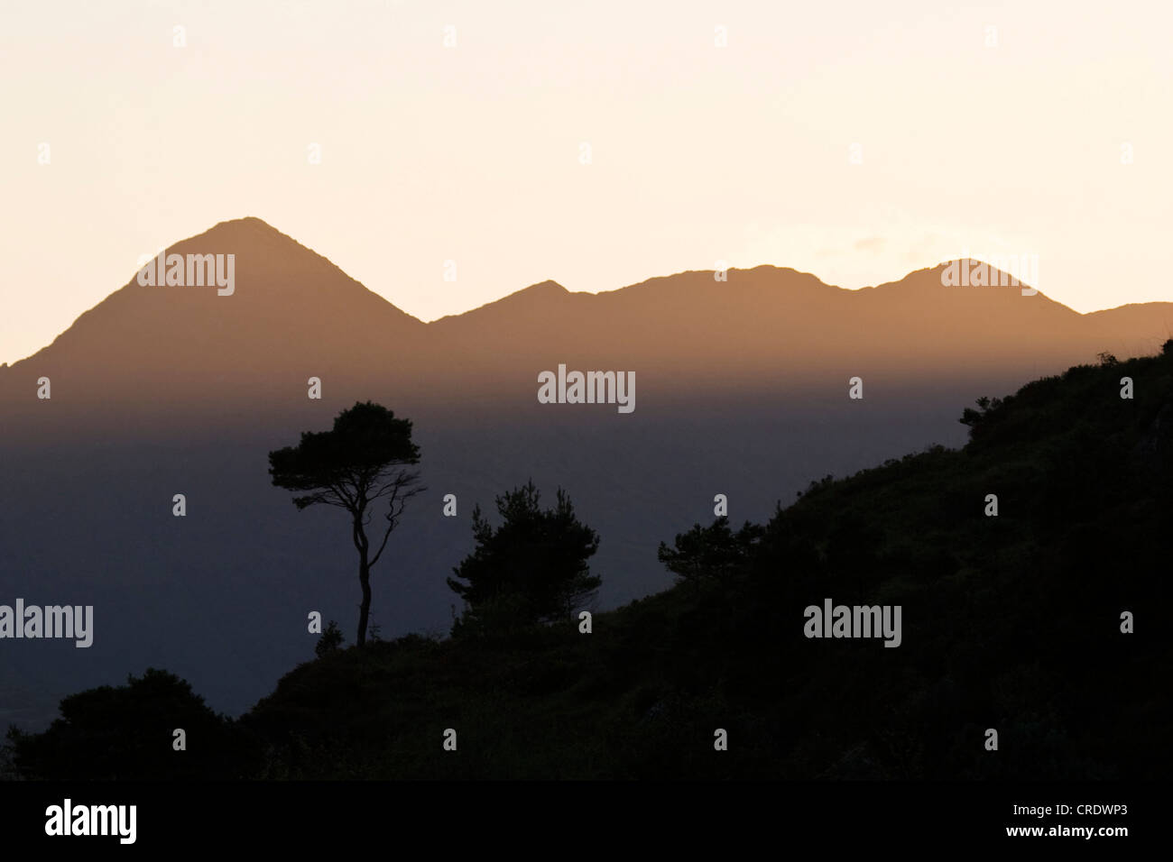 Irish mountain landscape with tree in backlight, Ireland, Cork Stock Photo