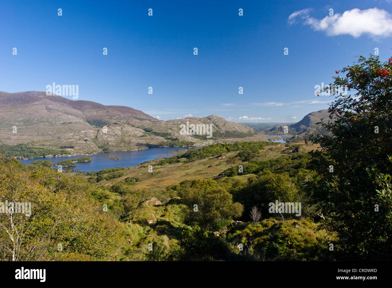 Ladies View Killarney National Park High Resolution Stock Photography Ladies View Killarney National Park High Resolution Stock Photography