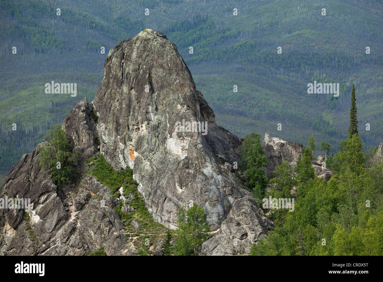 The Angel Rocks near Fairbanks, Alaska, USA Stock Photo