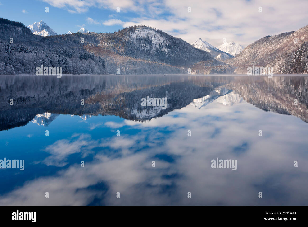 The calm Alpsee Lake reflecting mountains and clouds on a winter morning, Allgaeu, Bavaria, Germany, Europe Stock Photo