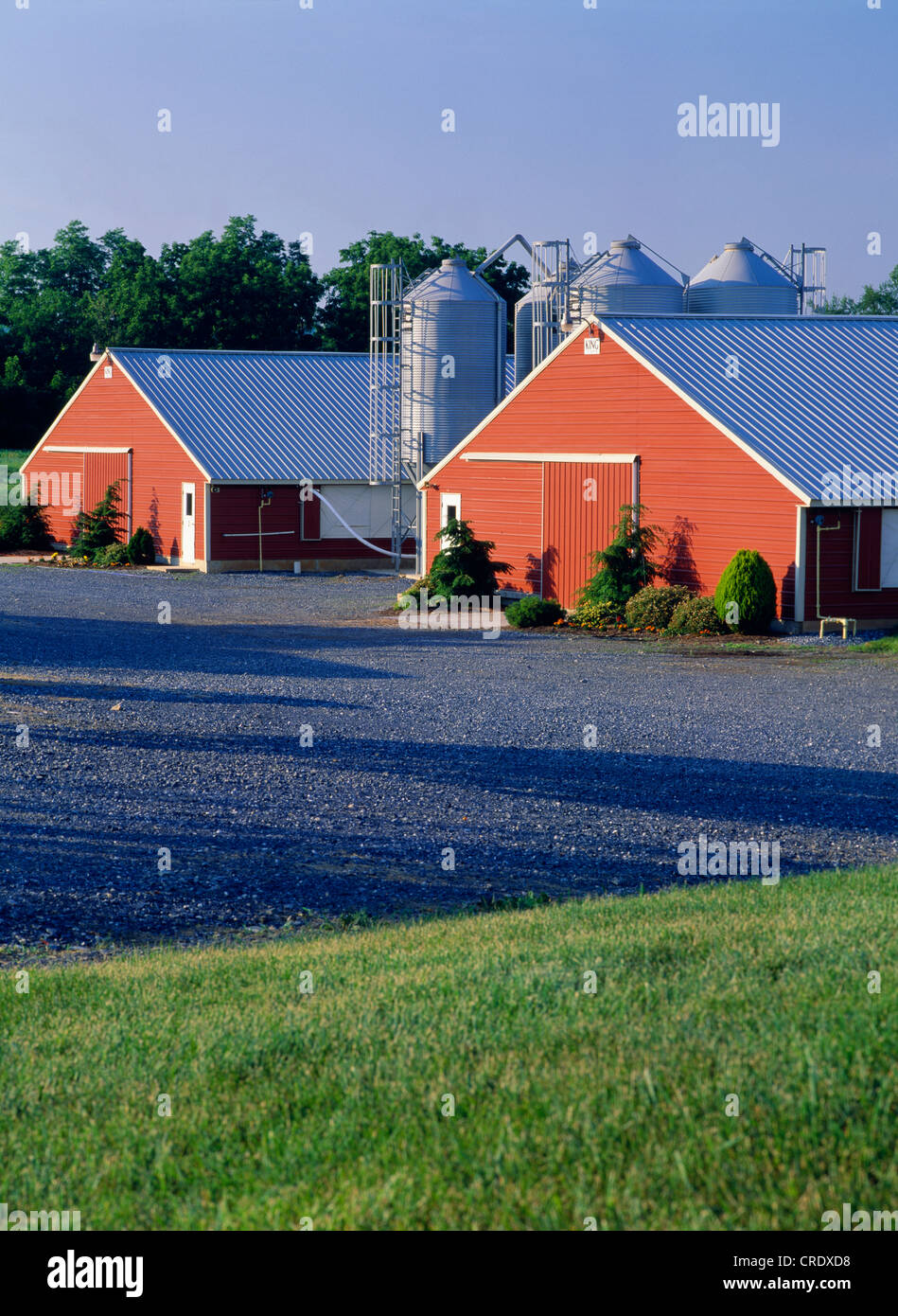 OUTSIDE VIEW OF BROILER HOUSES, 414 FEET LONG / PENNSYLVANIA Stock Photo