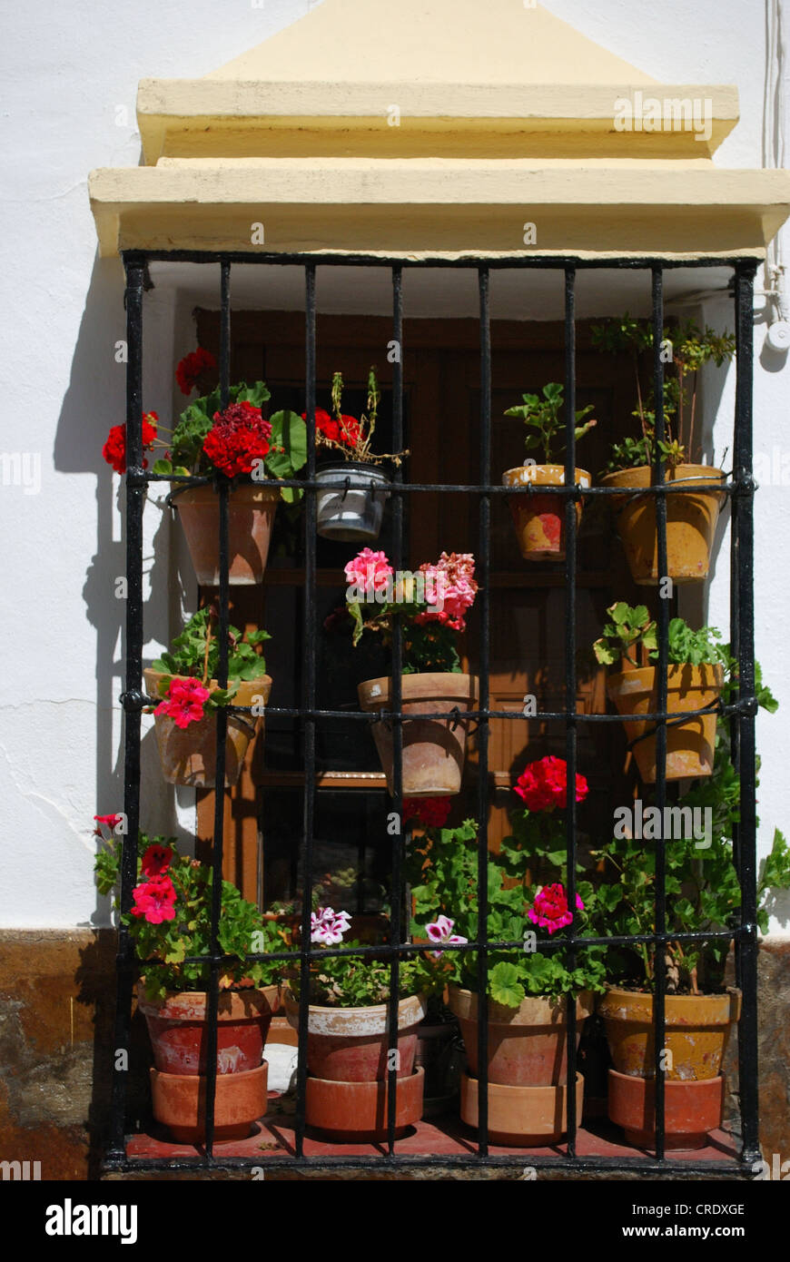 Spanish window wrought iron balcony hi-res stock photography and images ...