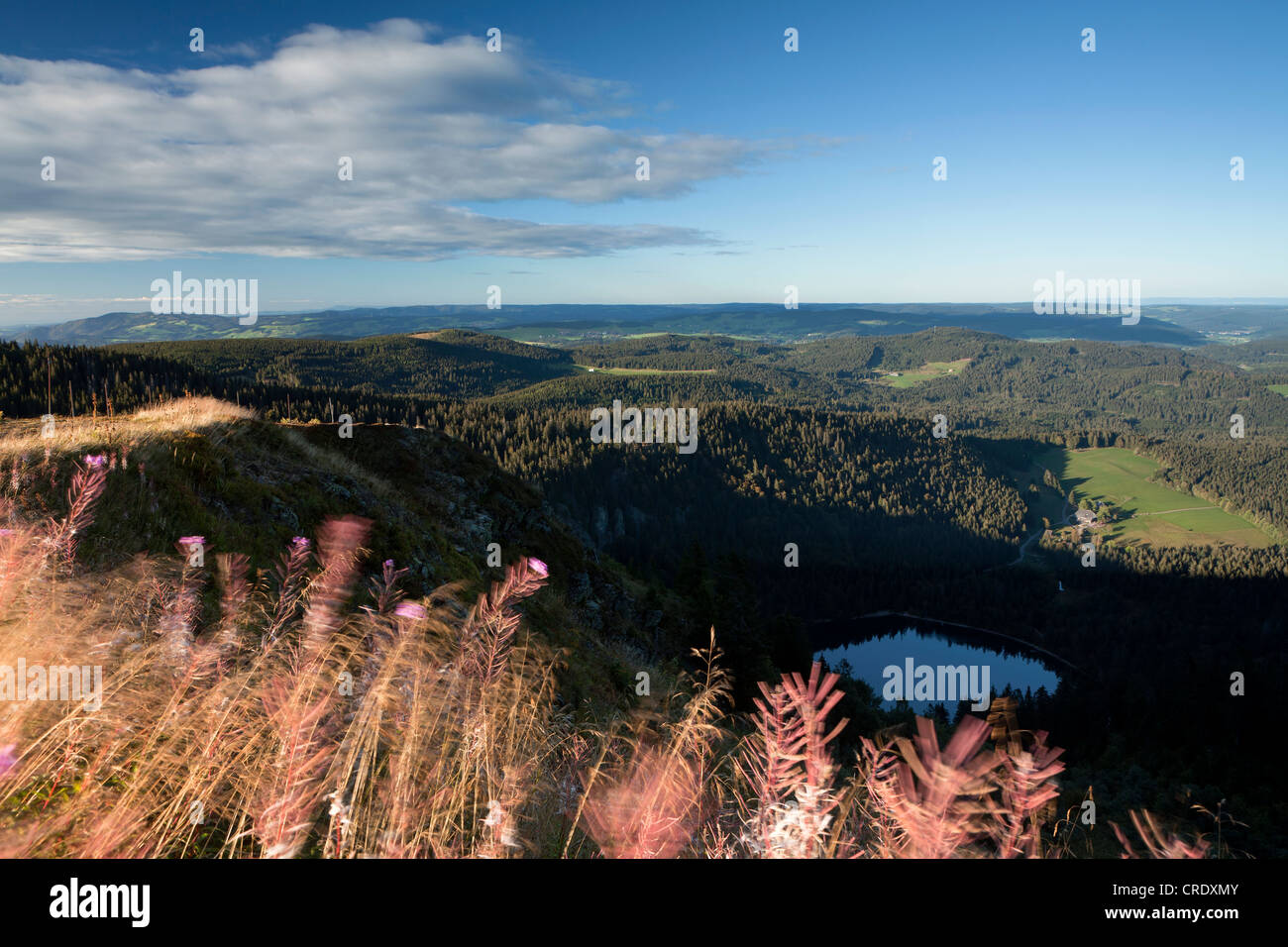 Autumn evening overlooking Feldsee Lake from Mt Feldberg in the Black Forest, Germany, Europe, PublicGround Stock Photo