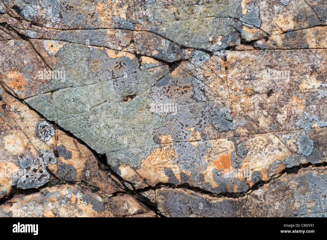 Fissured rock hires stock photography and images Alamy