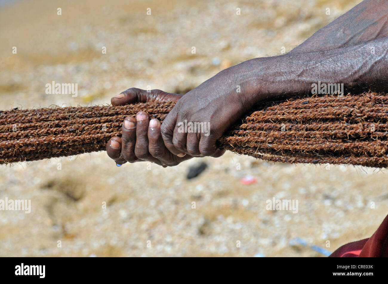 Fisherman pulling in a net on a beach in Galle, Sri Lanka, Ceylon, South Asia, Asia Stock Photo