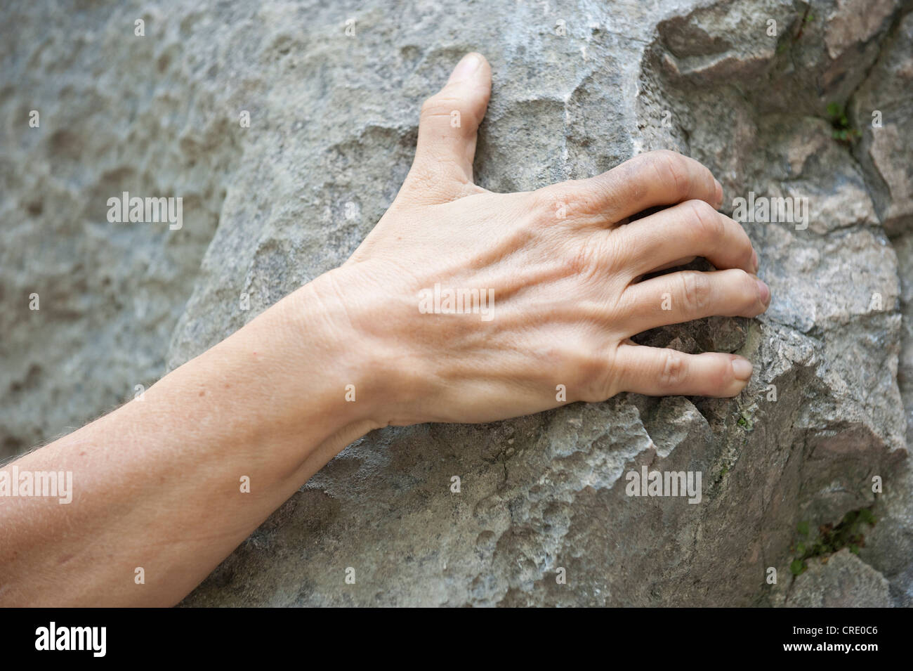 Hand of a mountaineer, climber, gripping a rock, rock climbing, Arco, Italy, Europe Stock Photo