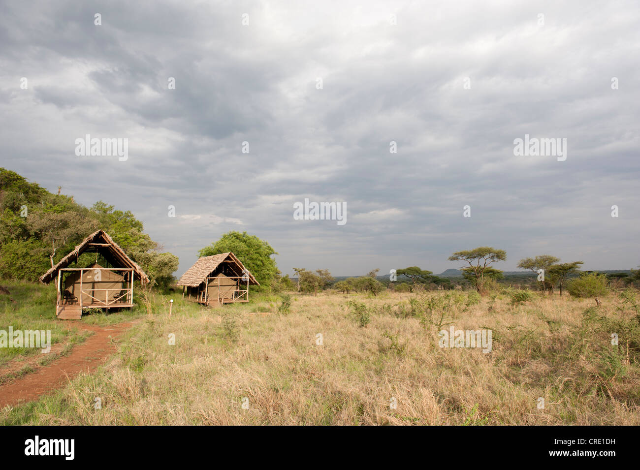 Ikoma Wild Camp, covered tents in the vast savannah, Serengeti National Park, Tanzania, East Africa, Africa Stock Photo