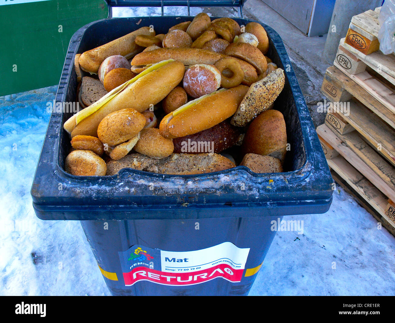 plentifulness, bred in a dustbin, Norway, Troms Stock Photo