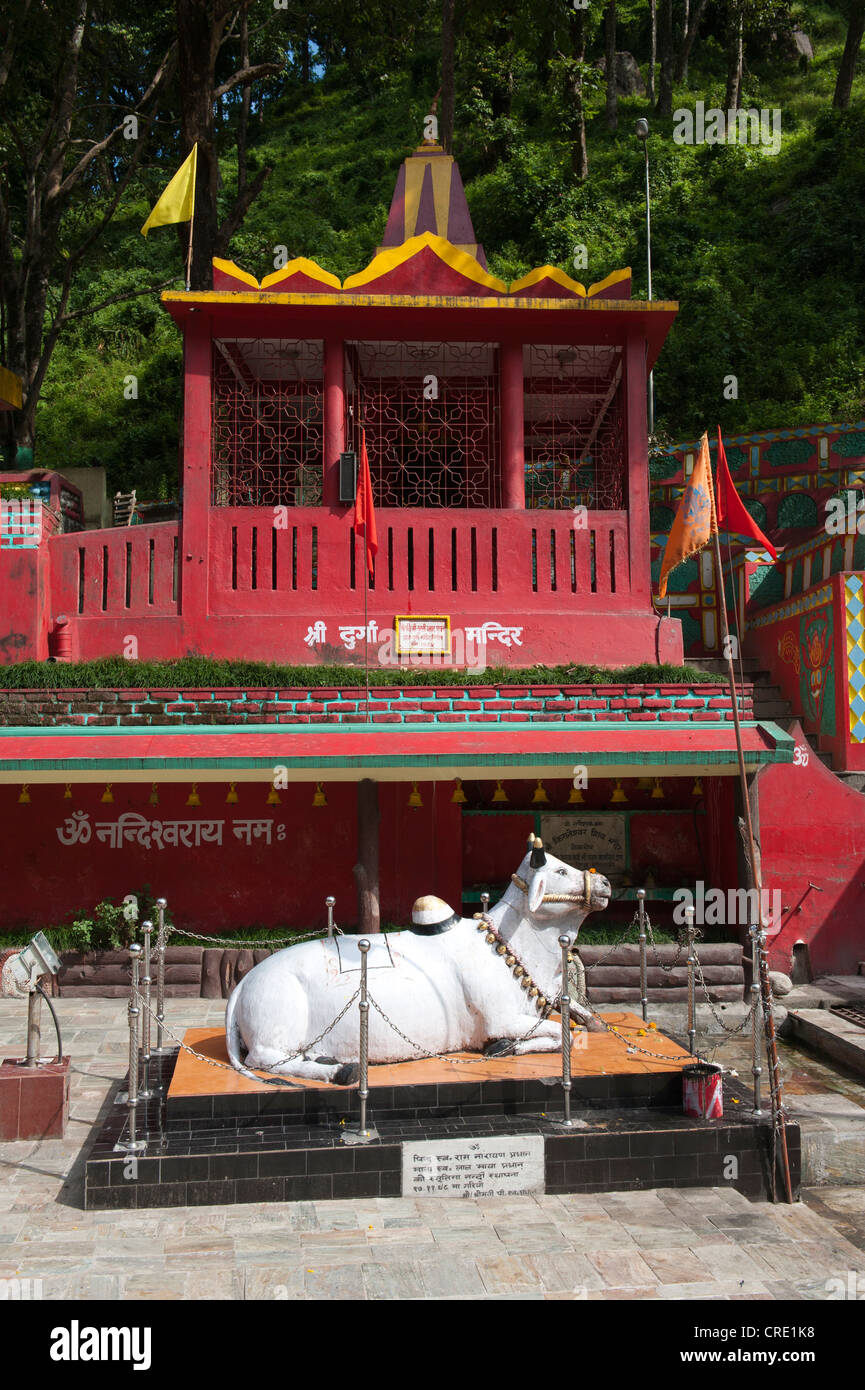 Hinduism, Nandi bull, Hindu Temple, Kirateshwar Mahadev Temple, Legship, West Sikkim, Himalayas, India, South Asia, Asia Stock Photo