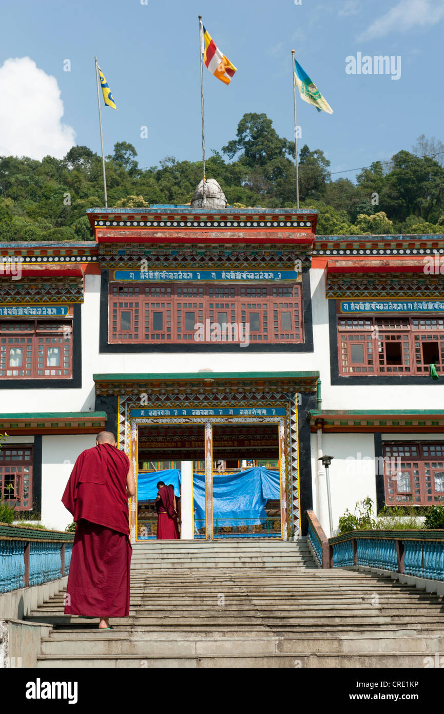 Tibetan Buddhism, KarmaKagyu Lineage, monk climbing stairs, Lingdum Gompa Monastery near