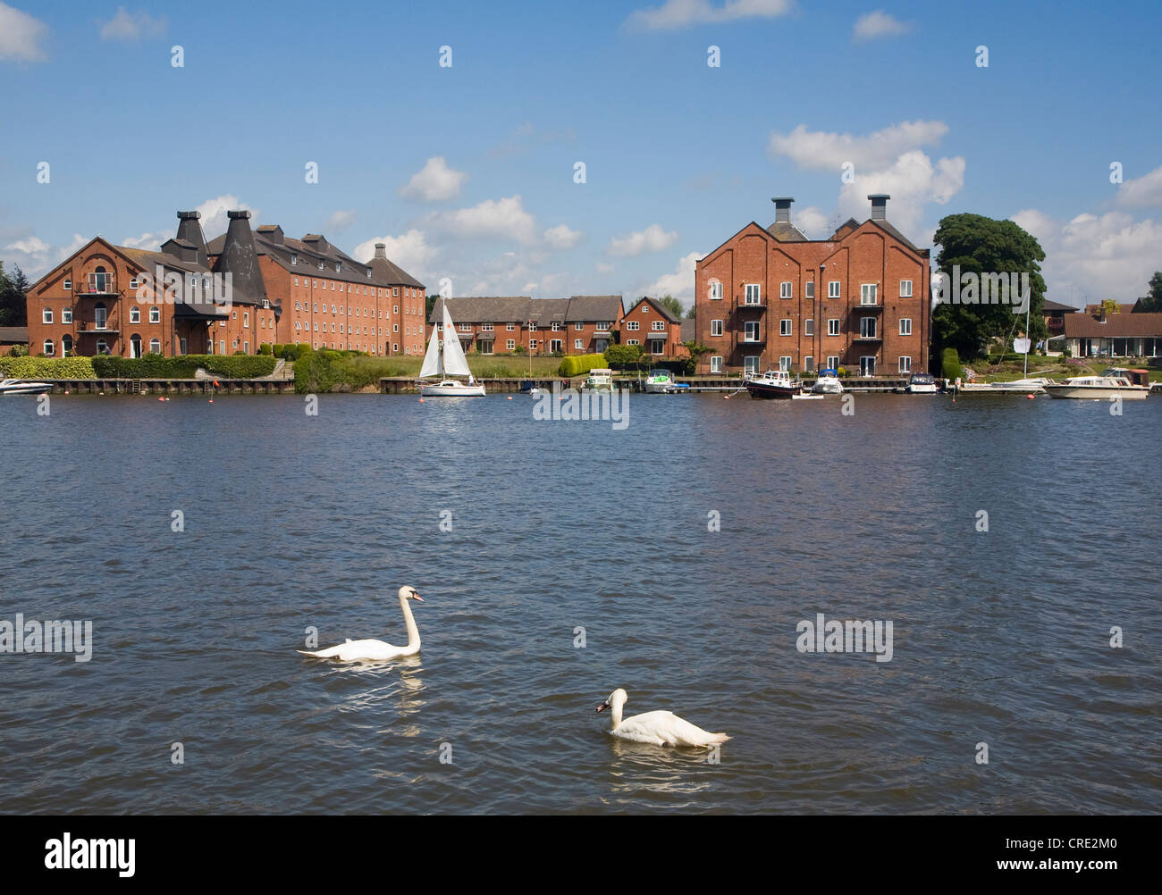 Boats and swans on the water at Oulton Broad, Suffolk, England Stock Photo