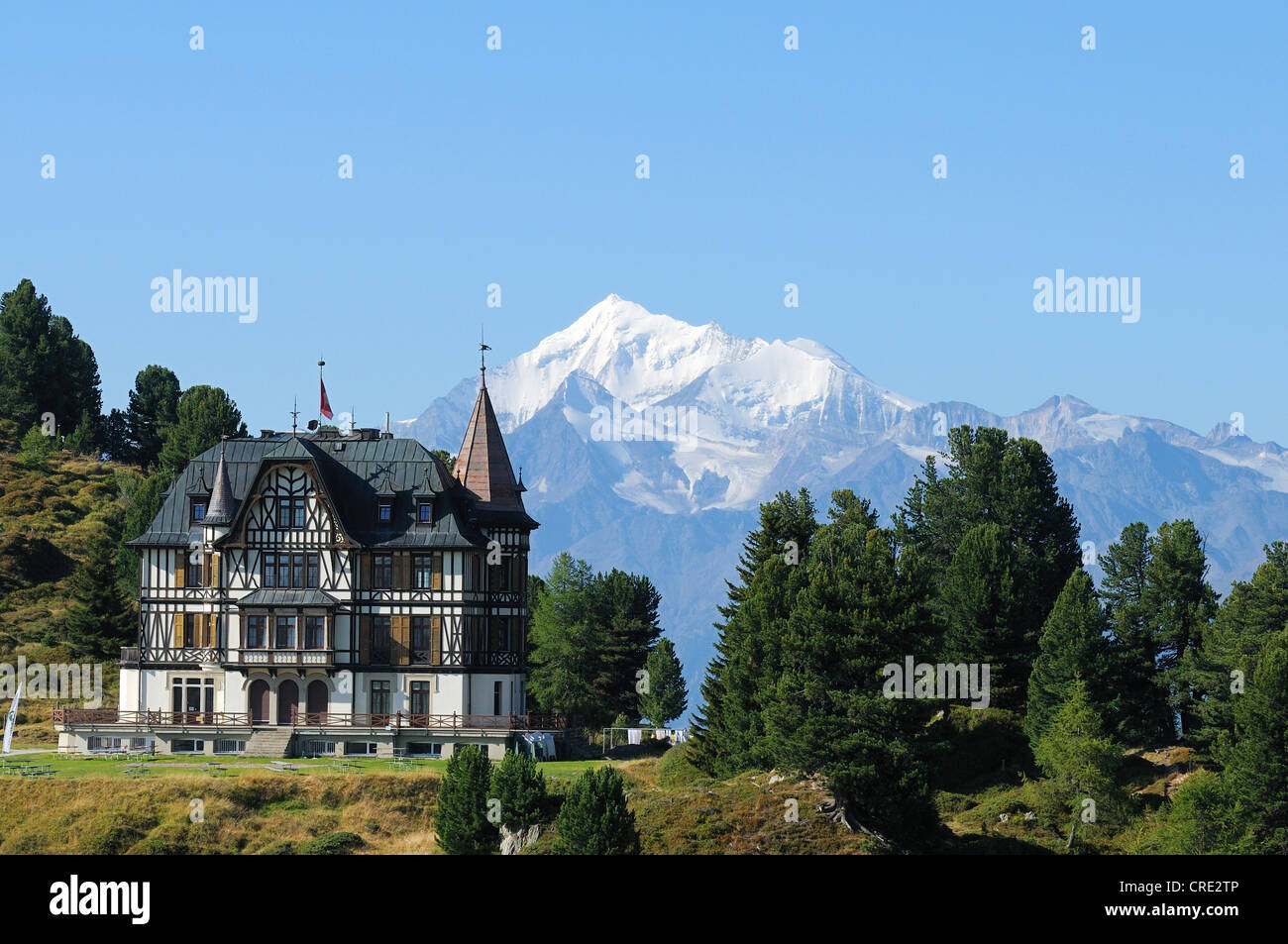 Villa Cassel, home of the Pro Natura Centre, Aletsch, Riederalp, Valais, Switzerland, Europe Stock Photo