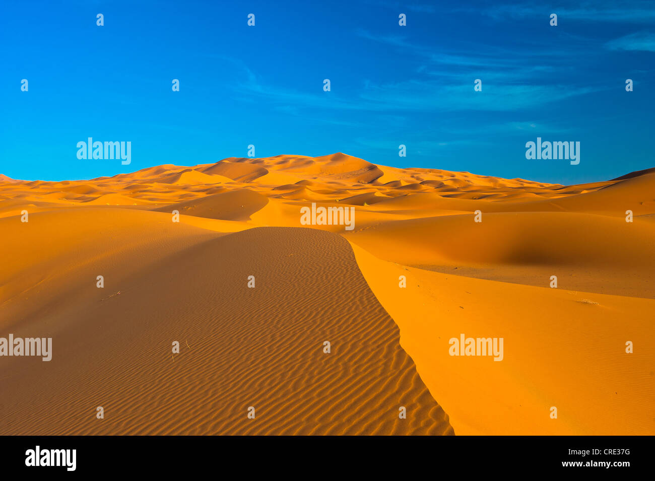 Sand dunes, Erg Chebbi, desert sand, Sahara, southern Morocco, Morocco, Africa Stock Photo